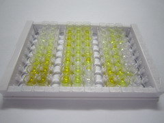 ELISA Kit for 2',5'-Oligoadenylate Synthetase 2 (OAS2)