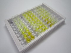 ELISA Kit for Peroxiredoxin 2 (PRDX2)