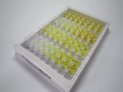 ELISA Kit for Secreted Frizzled Related Protein 1 (SFRP1)