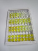 ELISA Kit for Stanniocalcin 2 (STC2)