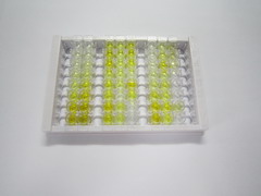 ELISA Kit for Adaptor Related Protein Complex 2 Mu 1 (AP2m1)