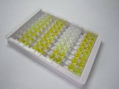 ELISA Kit for Adaptor Related Protein Complex 3 Beta 1 (AP3b1)