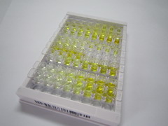 ELISA Kit for Proteoglycan 4 (PRG4)