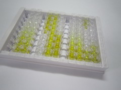 ELISA Kit for Guanylate Cyclase Activator 2B (GUCA2B)