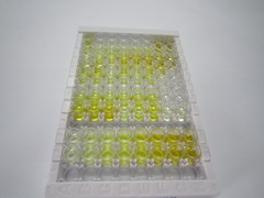 ELISA Kit for Selenium Binding Protein 1 (SELENBP1)