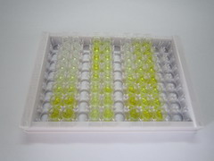 ELISA Kit for Palate/Lung And Nasal Epithelium Associated Protein (PLUNC)