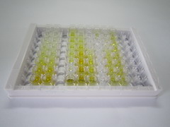 ELISA Kit for Isocitrate Dehydrogenase 2, mitochondrial (IDH2)