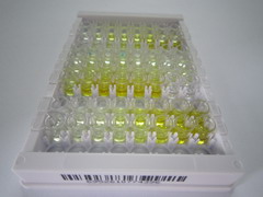 ELISA Kit for Follistatin Like Protein 1 (FSTL1)