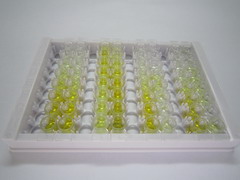 ELISA Kit for D-Amino Acid Oxidase (DAO)