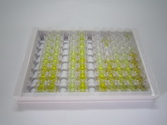 ELISA Kit for Catechol-O-Methyltransferase (COMT)