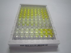 ELISA Kit for V-Set Domain Containing T-Cell Activation Inhibitor 1 (VTCN1)