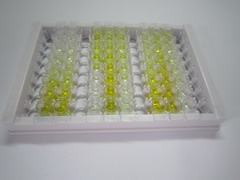 ELISA Kit for G Protein Alpha Activating Activity Polypeptide O (GNaO1)