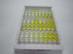 ELISA Kit for C1q And Tumor Necrosis Factor Related Protein 3 (C1QTNF3)