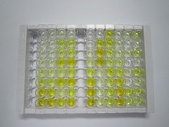 ELISA Kit for A Disintegrin And Metalloprotease 28 (ADAM28)
