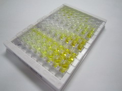 ELISA Kit for Bcl2 Related Protein A1 (BCL2A1)