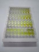 ELISA Kit for Nuclear Factor, Erythroid Derived 2 Like Protein 2 (NFE2L2)