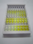 ELISA Kit for High Temperature Requirement Factor A4 (HTRA4)