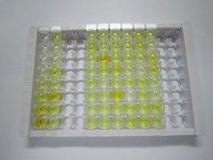 ELISA Kit for Angiopoietin Like Protein 6 (ANGPTL6)