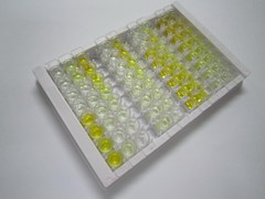 ELISA Kit for Cytochrome P450 2C9 (CYP2C9)