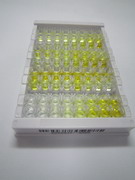 ELISA Kit for Cytochrome P450 2C9 (CYP2C9)