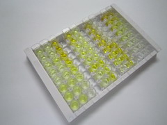 ELISA Kit for Cytochrome b (COB)