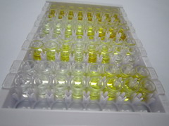 ELISA Kit for Poly A Binding Protein Cytoplasmic 1 Like Protein (PABPC1L)
