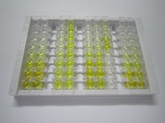 ELISA Kit for C1q And Tumor Necrosis Factor Related Protein 9 (C1QTNF9)