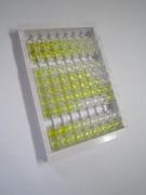 ELISA Kit for Hyaluronoglucosaminidase 1 (HYAL1)