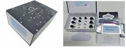 Multiplex Assay Kit for Insulin (INS) ,etc. by FLIA (Flow Luminescence Immunoassay)