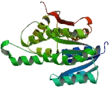 17-Beta-Hydroxysteroid Dehydrogenase Type 14 (HSD17b14)