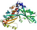 3-Hydroxy-3-Methylglutaryl Coenzyme A Reductase (HMGCR)