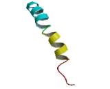 5-Hydroxytryptamine Receptor 2A (HTR2A)