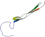 A Disintegrin And Metalloproteinase With Thrombospondin 2 (ADAMTS2)