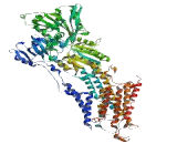 ATPase, Ca++ Transporting, Cardiac Muscle, Slow Twitch 2 (ATP2A2)