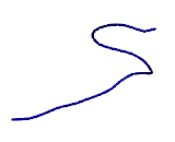 ATPase, Na+/K+ Transporting Alpha 1 Polypeptide (ATP1a1)