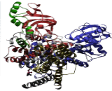 Sodium/potassium Transporting ATPase Subunit Beta-3 (ATP1b3)