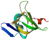 ATPase Type 13A3 (ATP13A3)