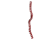 ATR Interacting Protein (ATRIP)