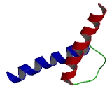 Achaete Scute Complex Like Protein 1 (ASCL1)