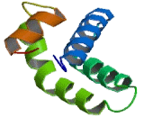 Acid Sphingomyelinase (ASM)