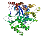 Acidic Nuclear Phosphoprotein 32 Family, Member A (ANP32A)