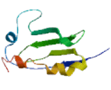 Activator Of 90kDa Heat Shock Protein ATPase Homolog 2 (AHSA2)