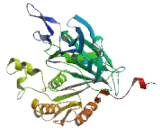 Acyl Coenzyme A Thioesterase 3 (ACOT3)