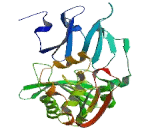 Acyl Coenzyme A Thioesterase 5 (ACOT5)