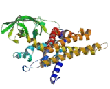 Acyl Coenzyme A Dehydrogenase, C4-To-C12 Straight Chain (ACADM)