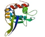 Adenylate Cyclase 4 (ADCY4)