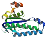 Adenylate Cyclase 5 (ADCY5)