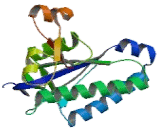 Adenylate Cyclase 6 (ADCY6)