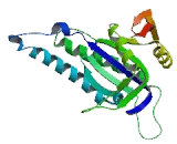 Adenylate Cyclase 7 (ADCY7)