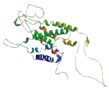 Adrenergic Receptor Beta 1 (ADRb1)